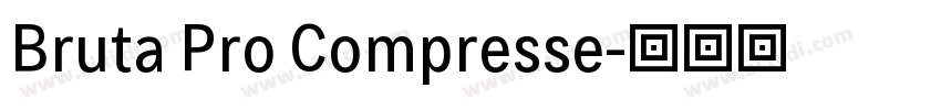 Bruta Pro Compresse字体转换